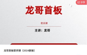 飞龙游资团龙哥首板密训课（2024新版）