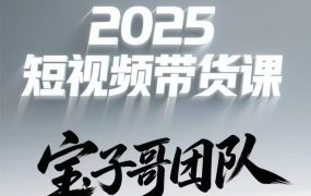 宝子哥头部团队短视频带货