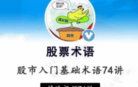 张一山-股基础入门股市基础术语精讲74集