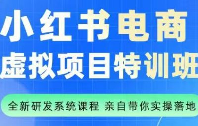陆明明-小红书虚拟项目特训班