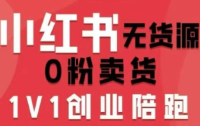 爱野佩佩小红书无货源0粉电商课