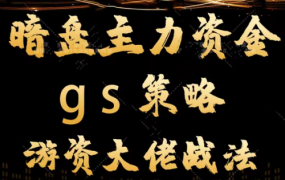 gs策略教学视频