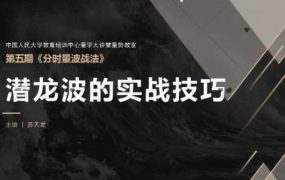 量学大讲堂量势教室苏天发《分时量波战法》