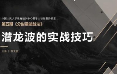 量学大讲堂量势教室苏天发《分时量波战法》