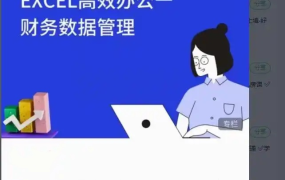大成方略-Excel高效办公-财务数据管理