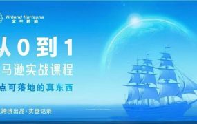 从0~1亚马逊实战课程
