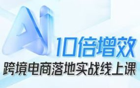 法老Pharaoh·跨境电商10倍增效课