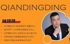 钱顶顶-抖音本地推投流实战课