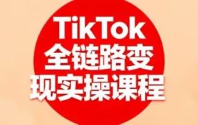 小杨老师-TikTok全链路变现实操课程