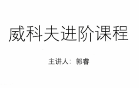郭睿威科夫进阶课程,威科夫交易系统