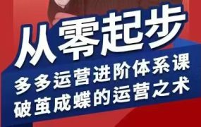 海神·拼多多运营进阶系统课