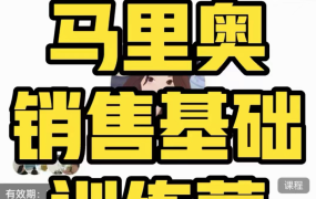 马里奥《销售基础训练营》