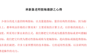 【林新象】林新象老师股海遨游之心得 1文档