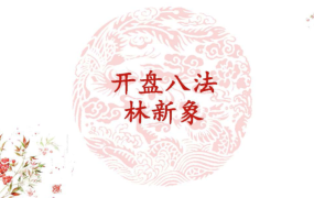 林新象系统学习课程开盘八法 视频+讲义
