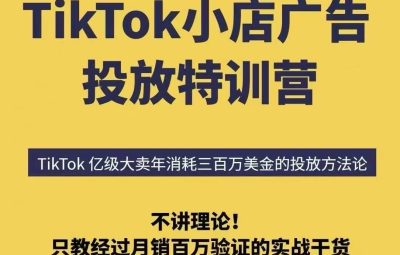 TikTok小店广告投放特训营