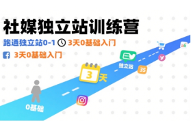跨境老璐·社媒独立站训练营