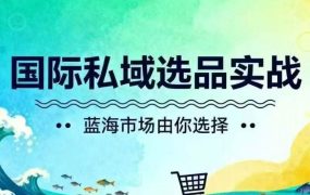 大脸猫-国际私域选品实战
