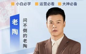 老陶电商拼多多2025Pro版
