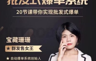 珊珊批发式爆单陪跑营