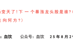 【血饮付费文250829】：市场变天了！下一个暴涨龙头股是谁？（股市走向何方？）